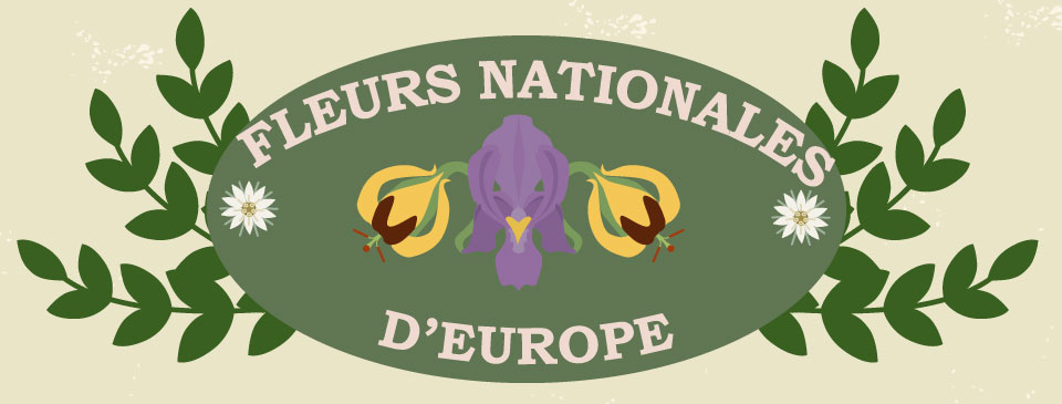 Les fleurs nationales d’Europe