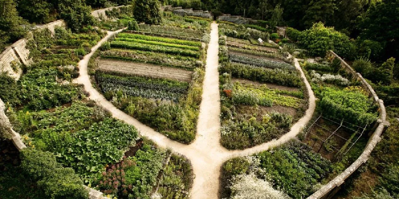 La permaculture, “une autre manière d’envisager notre place dans le monde”