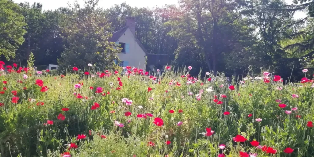 Des Rendez-vous aux Jardins réussis !