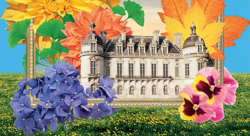 Journée des Plantes de Chantilly (19, 20 & 21 octobre)