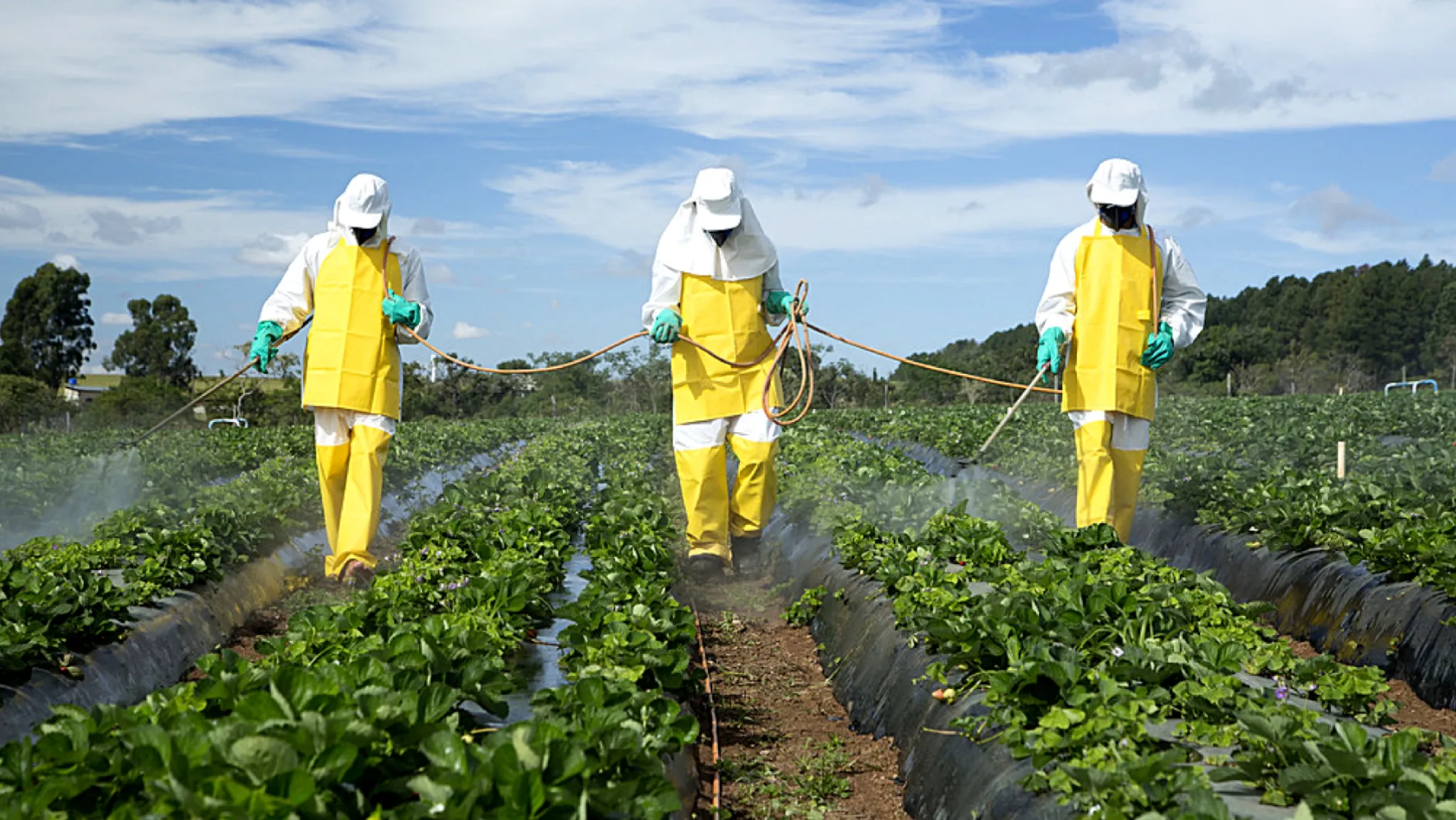 Mobilisation pour l’interdiction des pesticides