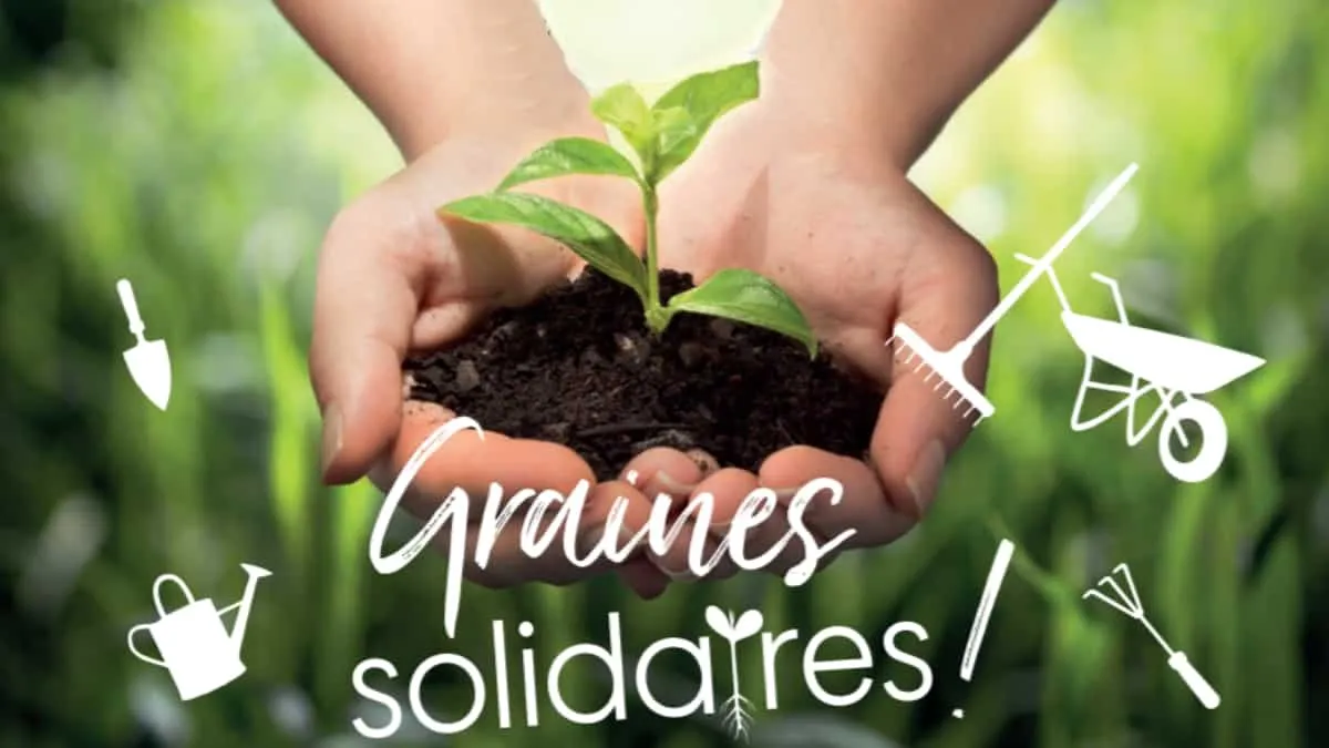 Weekend “Graines solidaires” 30 & 31 mars chez Truffaut Plaisir