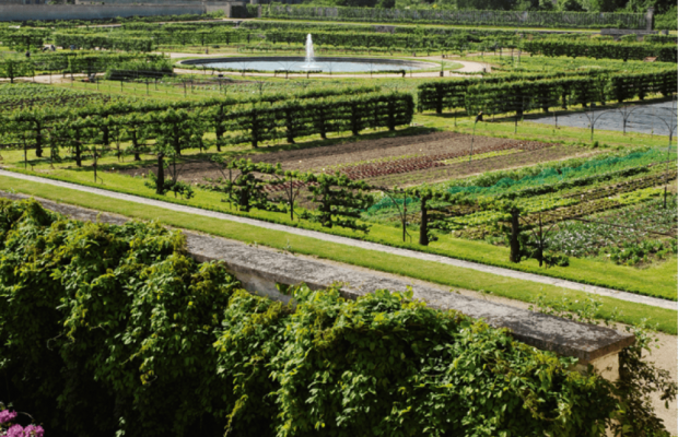 “Réviser votre Potager” le 1er et 2 juin au Potager du Roi à Versailles